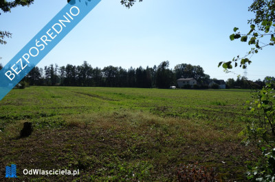 Skoczów Ochaby 32 ha budowlany oraz pod usługi nieuciążliwe  - Katowice  -
śląskie Zdjęcie nr 6