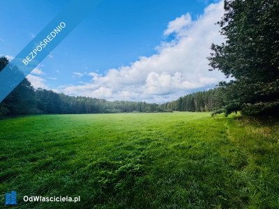 Wyjątkowa działka 242 ha wśród zieleni Cisza prywatność natura - Nitki  -
warmińsko-mazurskie Zdjęcie nr 11