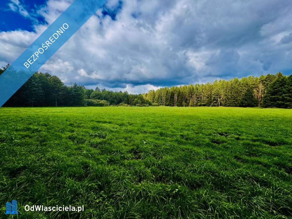 Wyjątkowa działka 242 ha wśród zieleni Cisza prywatność natura - Nitki  -
warmińsko-mazurskie Zdjęcie nr 1