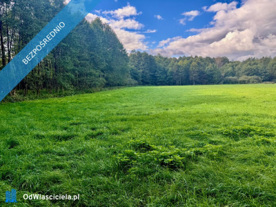 Wyjątkowa działka 242 ha wśród zieleni Cisza prywatność natura - Nitki  -
warmińsko-mazurskie Zdjęcie nr 4