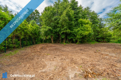 Działka rekreacyjna nad morzem - Kamień Pomorski  -
zachodniopomorskie Zdjęcie nr 7