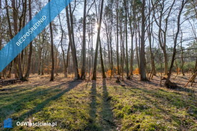 Działka pod lasem z wydanymi warunkami tylko 120 złm2 - Szczecin  - zachodniopomorskie
