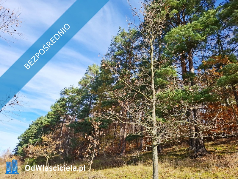 sprzedam dużą działkę rolną w Karkonoszachnieopodal Karpacza - Głębock  -
dolnośląskie Zdjęcie nr 1