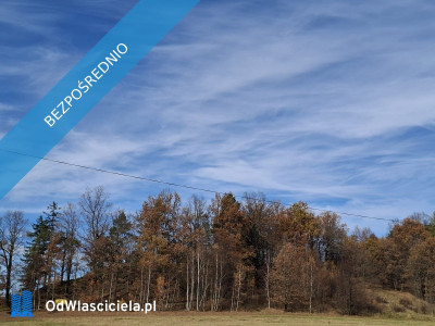 sprzedam dużą działkę rolną w Karkonoszachnieopodal Karpacza - Głębock  -
dolnośląskie Zdjęcie nr 2