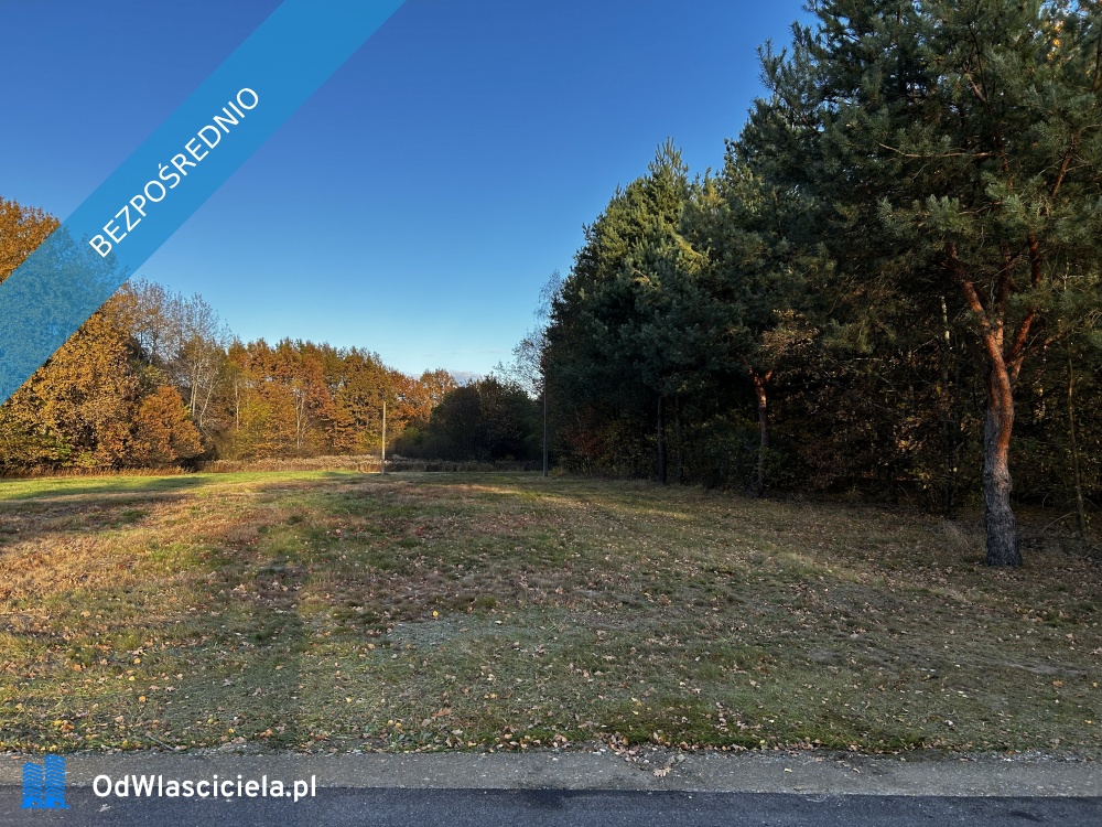 Działka w spokojnej okolicy - Rydzów  -
podkarpackie Zdjęcie nr 1