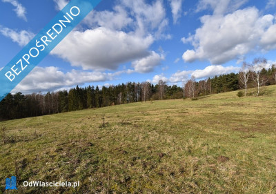 Sprzedam działki budowlane nad morzem w m Bukowa pow Smołdzino - Bukowa  -
pomorskie Zdjęcie nr 5