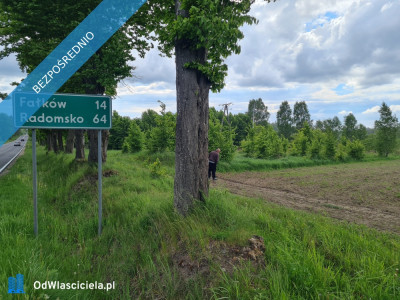 Działka 3200 m2 budowlana pod firmę działalność inwestycyjna warunki zabudowy WZ na 3 domy - Dęba  -
świętokrzyskie Zdjęcie nr 3