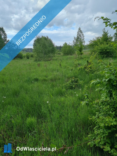 Działka 3200 m2 budowlana pod firmę działalność inwestycyjna warunki zabudowy WZ na 3 domy - Dęba  -
świętokrzyskie Zdjęcie nr 4