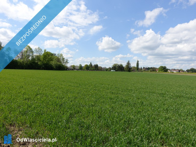 Skoczów Pruchna 115ha pod stadnine zabudowe lux lokalizacja - Katowice  -
śląskie Zdjęcie nr 4