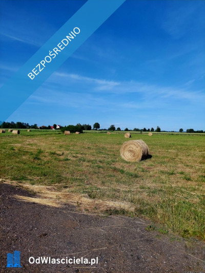 Działki na sprzedaż w miejscowości Sztutowo - Sztutowo  -
pomorskie Zdjęcie nr 5