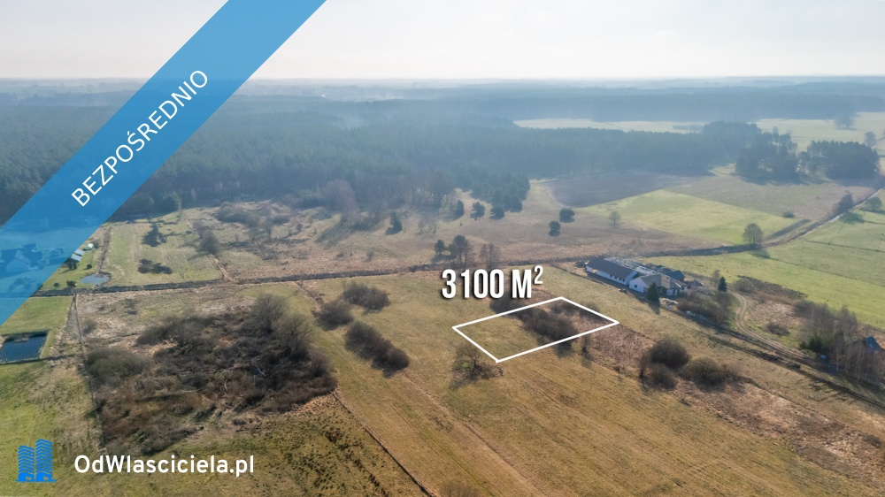 Działka w zielonej okolicy z wydanymi warunkami pod Szczecinem - Płonia-Śmierdnica-Jezierzyce  -
zachodniopomorskie Zdjęcie nr 1