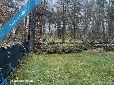 Działka leśna ZL ogrodzona nad jeziorem - Borkowo  -
pomorskie Zdjęcie nr 3