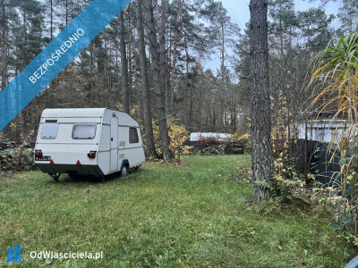 Działka leśna ZL ogrodzona nad jeziorem - Borkowo  -
pomorskie Zdjęcie nr 5