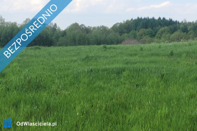 Działka budowlana w centrum Dominikowic wojmałopolskie - Dominikowice  -
małopolskie Zdjęcie nr 3