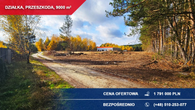 Produkcja usługi składy 9000m2 Przeszkoda gm Żabia Wola - Przeszkoda  -
mazowieckie Zdjęcie nr 5