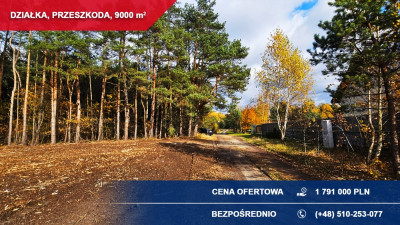 Produkcja usługi składy 9000m2 Przeszkoda gm Żabia Wola - Przeszkoda  -
mazowieckie Zdjęcie nr 6