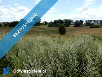 Syndyk sprzeda działki o numerze 2402 oraz 313 - Trzeszyn gmina Karnice powiat gryficki - cena 100 wartości oszacowania  - Trzeszyn  -
zachodniopomorskie Zdjęcie nr 2