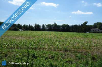 Skoczów Ochaby 32ha budowlany oraz pod usługi nieuciążliwe - Skoczów  -
śląskie Zdjęcie nr 5