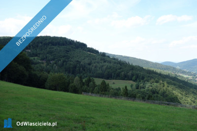 Brenna 253 ha działka inwestycyjna blisko wyciągu - Kraków  -
małopolskie Zdjęcie nr 2