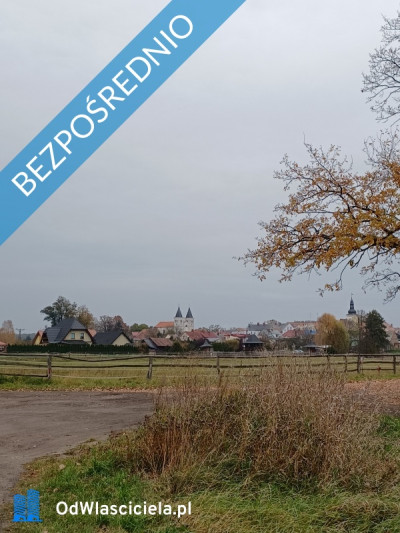 Babimost DZIAŁKI BUDOWLANE z aktualnymi warunkami zabudowy - Babimost  -
lubuskie Zdjęcie nr 10