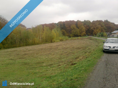 Działka budowlana 45a Dąbrówka Szczepanowska - Dąbrówka Szczepanowska  -
małopolskie Zdjęcie nr 5