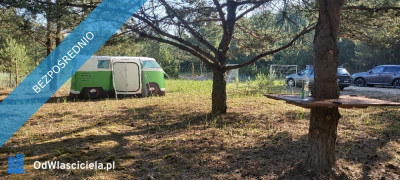 SPRZEDAM BEZPOŚREDNIO DZIAŁKI BUDOWLANE W PUSZCZY NOTECKIEJ 50 KM OD POZNANIA - Klempicz  -
wielkopolskie Zdjęcie nr 11