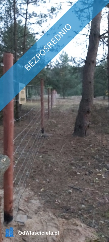 SPRZEDAM BEZPOŚREDNIO DZIAŁKI BUDOWLANE W PUSZCZY NOTECKIEJ 50 KM OD POZNANIA - Klempicz  -
wielkopolskie Zdjęcie nr 16