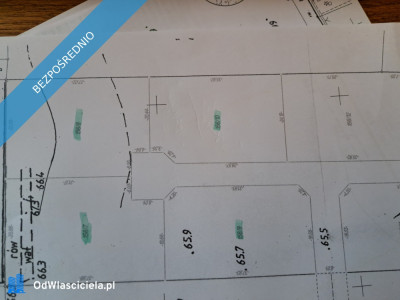 SPRZEDAM BEZPOŚREDNIO DZIAŁKI BUDOWLANE W PUSZCZY NOTECKIEJ 50 KM OD POZNANIA - Klempicz  -
wielkopolskie Zdjęcie nr 3