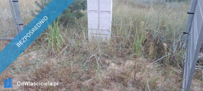 SPRZEDAM BEZPOŚREDNIO DZIAŁKI BUDOWLANE W PUSZCZY NOTECKIEJ 50 KM OD POZNANIA - Klempicz  -
wielkopolskie Zdjęcie nr 7