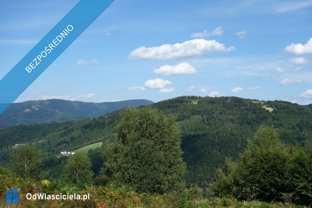 Brenna 253 ha działka inwestycyjna blisko wyciągu - Katowice  -
śląskie Zdjęcie nr 1