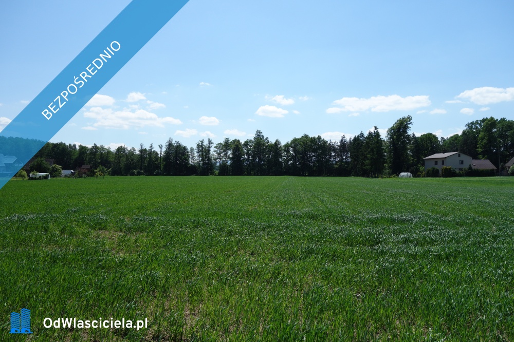 Skoczów Ochaby 32 ha z częścią budowlaną usługową oraz siedliskową - Katowice  -
śląskie Zdjęcie nr 1