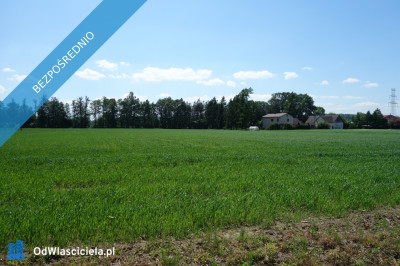 Skoczów Ochaby 32 ha z częścią budowlaną usługową oraz siedliskową - Katowice  -
śląskie Zdjęcie nr 2