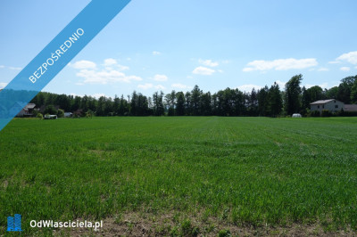 Skoczów Ochaby 32 ha z częścią budowlaną usługową oraz siedliskową - Katowice  -
śląskie Zdjęcie nr 3
