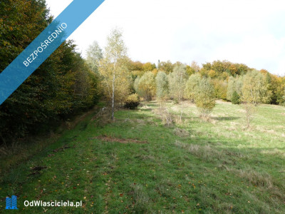 brenna 253 ha z prawem zabudowy blisko wyciągu  - Katowice  -
śląskie Zdjęcie nr 4