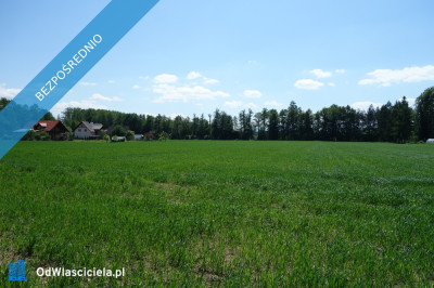 Skoczów Ochaby 16ha z prawem zabudowy lux lokalizacja media  - Katowice  -
śląskie Zdjęcie nr 3