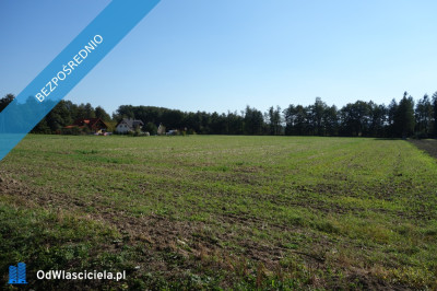 Skoczów Ochaby 16ha z prawem zabudowy lux lokalizacja media  - Katowice  -
śląskie Zdjęcie nr 6