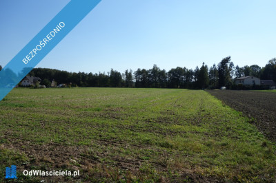 Skoczów Ochaby 16ha z prawem zabudowy lux lokalizacja media  - Katowice  -
śląskie Zdjęcie nr 7