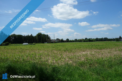 Skoczów Ochaby 157ha z częścią budowlaną 55ar i pod usługi - Skoczów  -
śląskie Zdjęcie nr 6