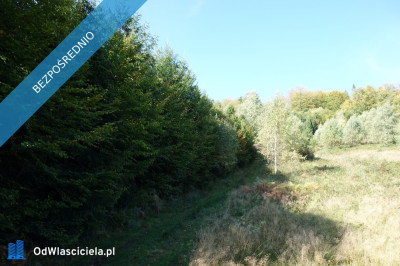 Brenna 253 ha działka inwestycyjna blisko wyciągu - Katowice  -
śląskie Zdjęcie nr 4