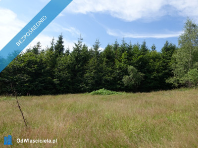 Brenna 253 ha działka inwestycyjna blisko wyciągu - Warszawa  -
mazowieckie Zdjęcie nr 14