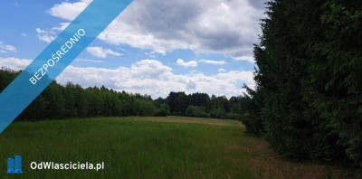 Sprzedam siedlisko 4000 m2 - Luta  -
świętokrzyskie Zdjęcie nr 10