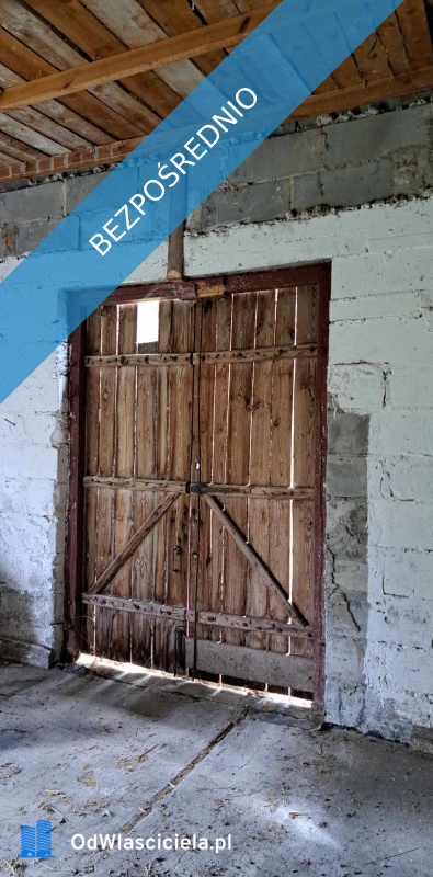 Sprzedam siedlisko 4000 m2 - Luta  -
świętokrzyskie Zdjęcie nr 11