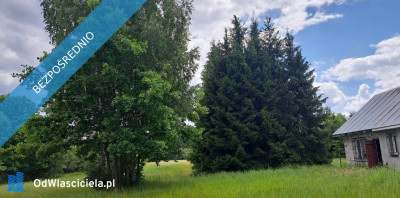 Sprzedam siedlisko 4000 m2 - Luta  -
świętokrzyskie Zdjęcie nr 12