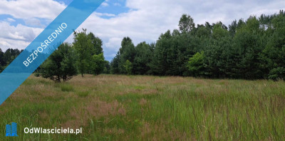 Sprzedam siedlisko 4000 m2 - Luta  -
świętokrzyskie Zdjęcie nr 14