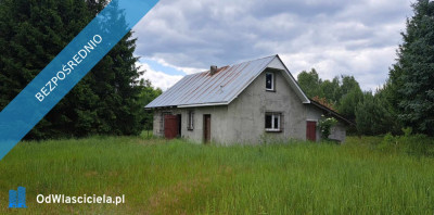 Sprzedam siedlisko 4000 m2 - Luta  -
świętokrzyskie Zdjęcie nr 15