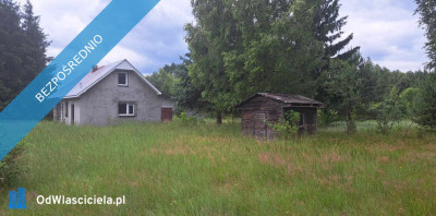 Sprzedam siedlisko 4000 m2 - Luta  -
świętokrzyskie Zdjęcie nr 17