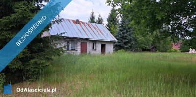 Sprzedam siedlisko 4000 m2 - Luta  -
świętokrzyskie Zdjęcie nr 18