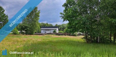 Sprzedam siedlisko 4000 m2 - Luta  -
świętokrzyskie Zdjęcie nr 20