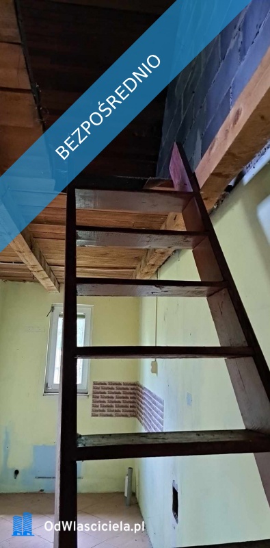 Sprzedam siedlisko 4000 m2 - Luta  -
świętokrzyskie Zdjęcie nr 2