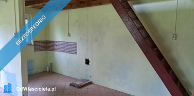 Sprzedam siedlisko 4000 m2 - Luta  -
świętokrzyskie Zdjęcie nr 5